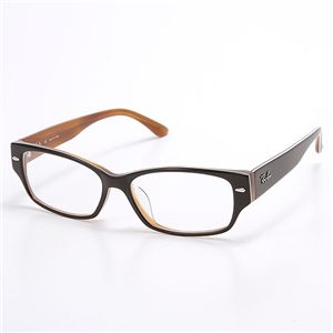 RayBan(レイバン) サングラス RX5220-5019/ブラック&クリアブラウン