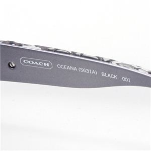 COACH(コーチ) アジアンフィッティング セルフレームサングラス ブラウングラデーション×ブラウン&クリアブラウン 631A-210