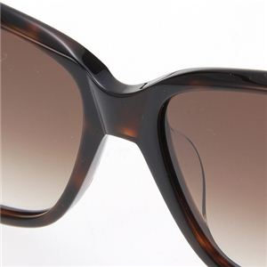 Chloe(クロエ) アジアンフィッティング サングラス 2242A-02 ブラウングラデーション×ベッコウ