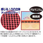 巨天狗サポーターパンツ