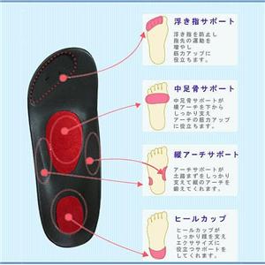 Re:getA �Ȃ�ƂуT���_��(R-191) M/(��)22.0�`23.0cm
