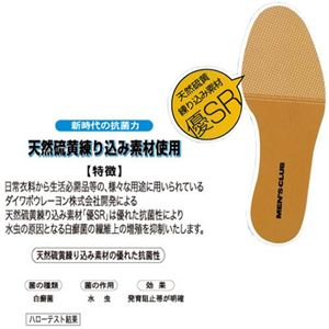 �r�W�l�X�V���[�Y 24.5