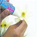 �z��p�_�C���N�g�{���h�@3�{�g