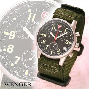 WENGER NmOt 70725(ւxgt)