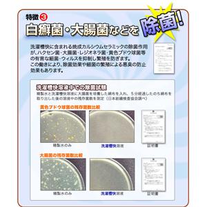 洗濯槽快　【7個組】
