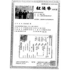 贅沢の極み!松坂牛使用のワガママセット ビーフカレー6食