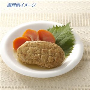 エステ専売低カロリーセット10食セット