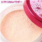 �ѥ륬��ȥ󡡥ե����쥯�����