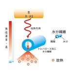 アイスボディネオ「北極枕」