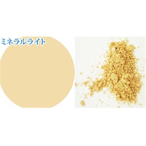 パルガントン アイミネラル&専用ブラシセット ミネラルライト