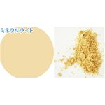 パルガントン アイミネラル&専用ブラシセット ミネラルライト