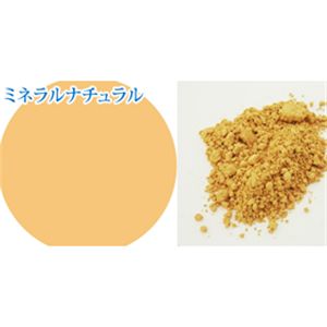 パルガントン アイミネラル&専用ブラシセット ミネラルナチュラル