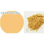 パルガントン アイミネラル&専用ブラシセット ミネラルナチュラル