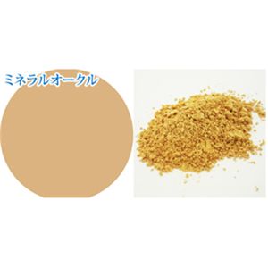 パルガントン アイミネラル&専用ブラシセット ミネラルオークル