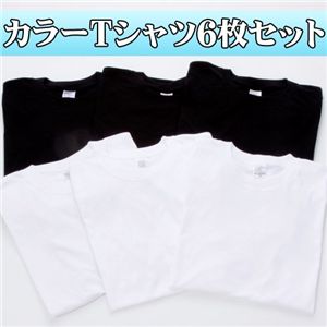 2カラーTシャツ6枚セット 3Lサイズ