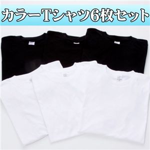 2カラーTシャツ6枚セット Sサイズ