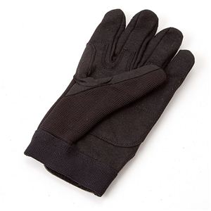 �A�����J�R���J�j�b�N�O���[�u �t���t�B���K�[ �u���b�N M�摜���̂P�X�V��