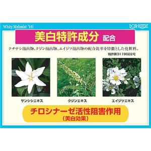 �z���C�e�B�����j�X�gV6