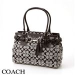 COACH(コーチ) ショルダーバッグ SBKWT