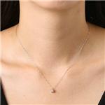 ��ץ����PT1000�ε������ץ�󥻥�������0.2ct�ڥ�����