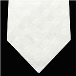 DOLCE＆GABBANA （ドルチェ&ガッバーナ） ネクタイ N-DOL-A00096 White系