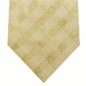 DOLCE＆GABBANA （ドルチェ&ガッバーナ） ネクタイ N-DOL-A00097 Brown系