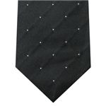 DOLCE＆GABBANA （ドルチェ&ガッバーナ） ネクタイ N-DOL-A00160 Black系