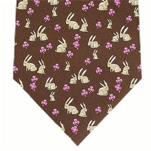 SalvatoreFerragamo (サルバトーレ・フェラガモ) ネクタイ N-FER-A00147 Brown系
