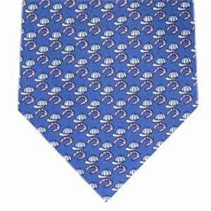 SalvatoreFerragamo (サルバトーレ・フェラガモ) ネクタイ N-FER-A00163 Blue系