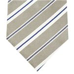 SalvatoreFerragamo (サルバトーレ・フェラガモ) ネクタイ N-FER-A00313 Gray系