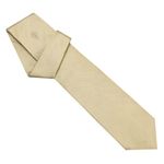 GUCCI (グッチ) ネクタイ N-GUC-A00367 Beige系