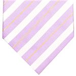 Ermenegildo Zegna (エルメネジルド ゼニア) ネクタイ N-ZEG-A00118 Purple系