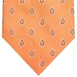 Ermenegildo Zegna (エルメネジルド ゼニア) ネクタイ N-ZEG-A00127 Orange系