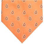 Ermenegildo Zegna (エルメネジルド ゼニア) ネクタイ N-ZEG-A00127 Orange系