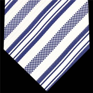 Ermenegildo Zegna (エルメネジルド ゼニア) ネクタイ N-ZEG-A00139 White系