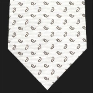 Ermenegildo Zegna (エルメネジルド ゼニア) ネクタイ N-ZEG-A00300 White系