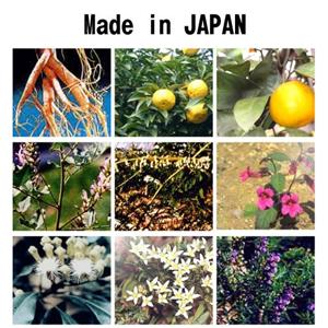 黄金輝髪源(おうごんきはつげん)