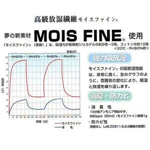 モイスファイン　除湿マット　ダブル