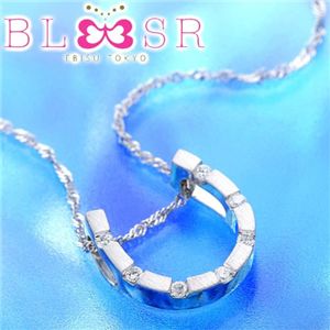 BLSR ebisu tokyo K18WGダイヤステーション ホースシューペンダント