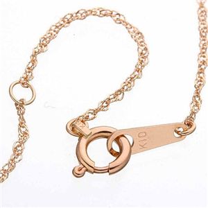 K10PG スクリューチェーン FMN-SAN00069