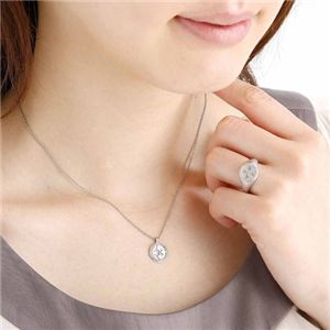 BR��Silver BLSR ��ɩ�ڥ�����
