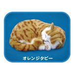 パーフェクトペット オレンジタビー