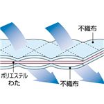 間仕切り付き整理保存袋(窓付き)【2個セット】