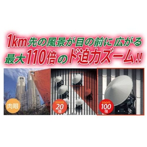 NASHICA�i�i�V�J�j 110�{�o�ዾ 3�_�Z�b�g�C���[�W��