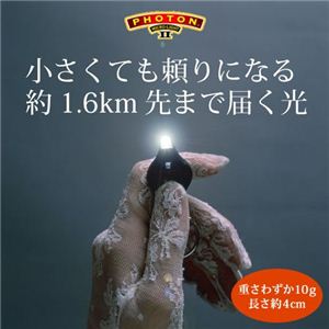 LED�}�C�N�����C�g �t�H�g��2�摜����1