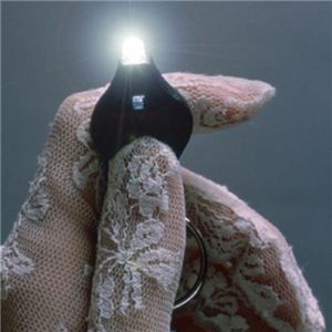 LED�}�C�N�����C�g �t�H�g��2�摜���̂P�X�V��