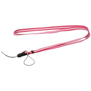 Vixen�i�r�N�Z���j �o�ዾ �A���[�i H8�~21 WP �s���N�C���[�W��