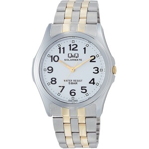 CITIZEN WATCH（シチズン時計） Q&Q ソーラー電源機能搭載 スタンダード H008-404 