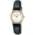 CITIZEN WATCH（シチズン時計） Q&Q ファルコン V479-804