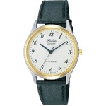 CITIZEN WATCH（シチズン時計） Q&Q ファルコン V280-804